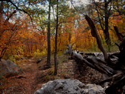 Guadalupe Mountains NP