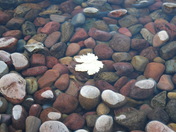 Glacier National Park