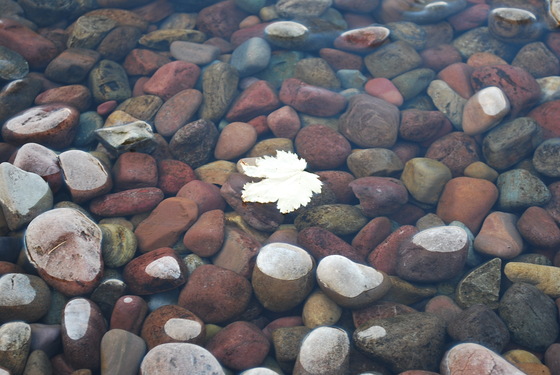 Glacier National Park
