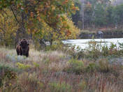 Wichita Mountains Wildlife Refuge