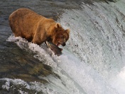 Katmai National Park