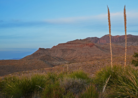 Big Bend National Park