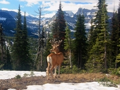 Glacier National Park