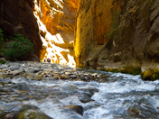 Zion National Park