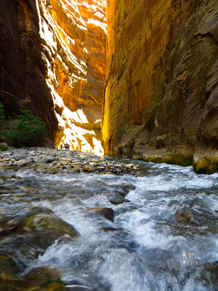 Zion National Park