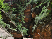 zion national park
