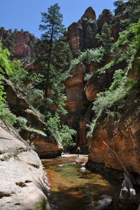 zion national park