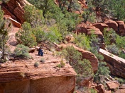 Zion National Park