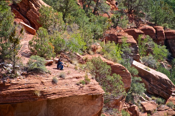 Zion National Park