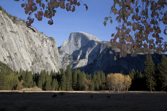 Yosemite National Park