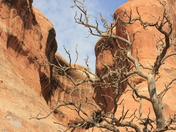 Arches National Park