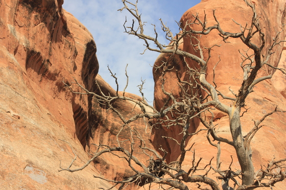 Arches National Park