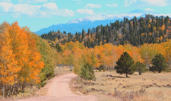 Pike/San Isabel National Forest