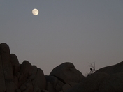 Joshua Tree National Park