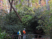 Great Smoky Mountain National Park