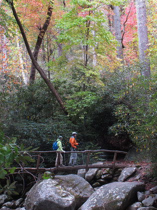 Great Smoky Mountain National Park