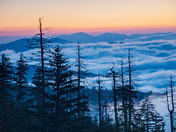 Great Smokey Mountain National Park