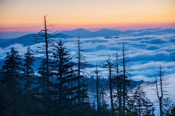 Great Smokey Mountain National Park