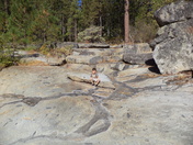 Sierra National Forest