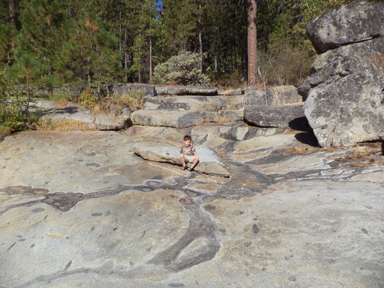 Sierra National Forest