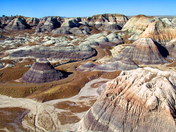 Petrified Forest National Park