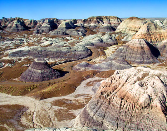Petrified Forest National Park