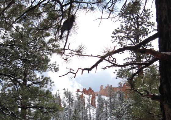 Bryce Canyon National Park