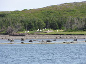 How did they get there