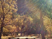 Yosemite