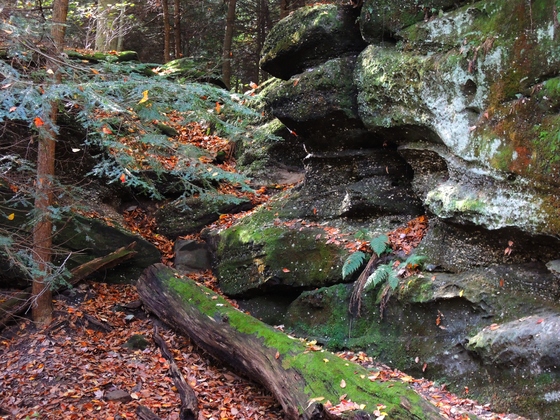 Cuyahoga National Park