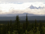 Denali National Park