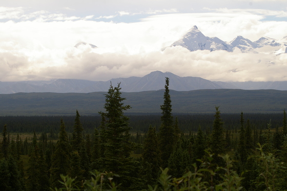 Denali National Park