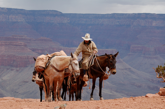 Grand Canyon