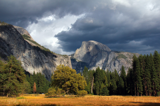 Yosemite 