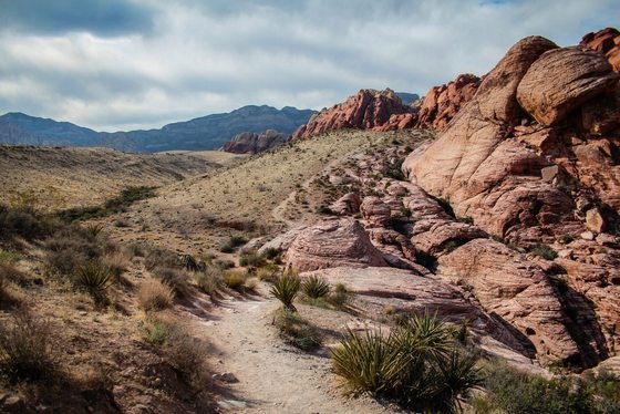 Red Rock Canyon National Conservation Area