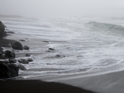 Kings Ranch / The Lost Coast