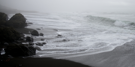 Kings Ranch / The Lost Coast