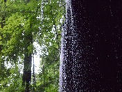 Mammoth Cave National Park