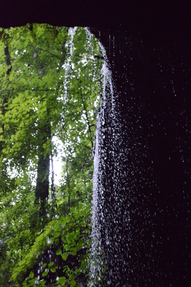 Mammoth Cave National Park