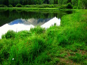 Manti LaSal National Forest