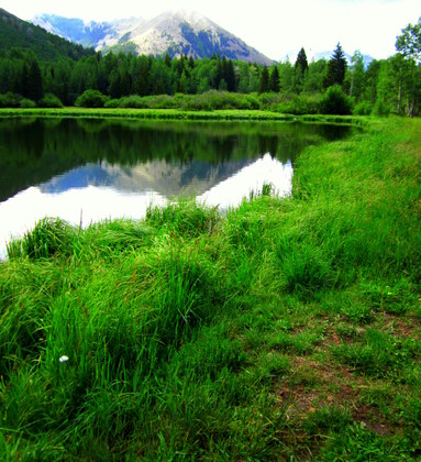 Manti LaSal National Forest
