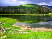 Manti LaSal National Forest