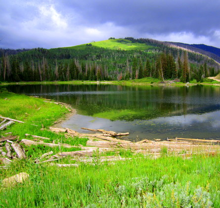 Manti LaSal National Forest