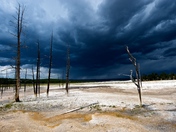Yellowstone National Park