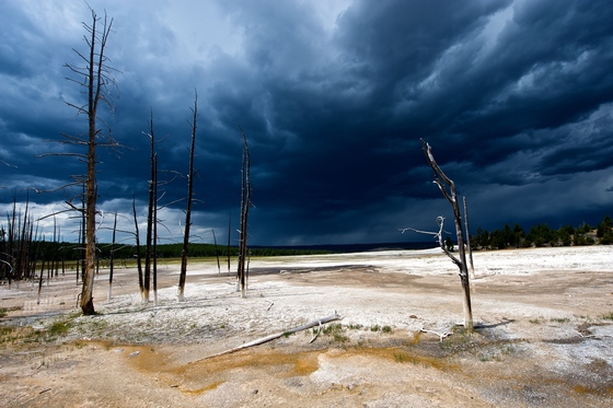 Yellowstone National Park