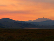 Yellowstone National Park
