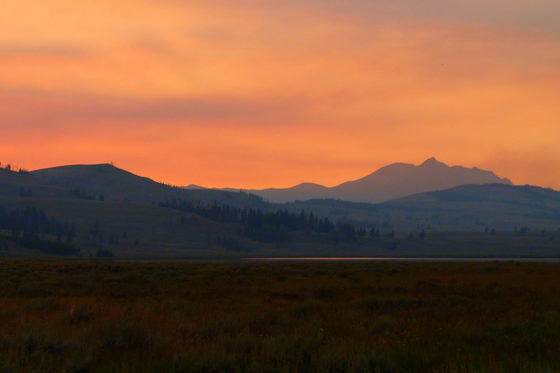 Yellowstone National Park