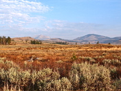 Yellowstone National Park 