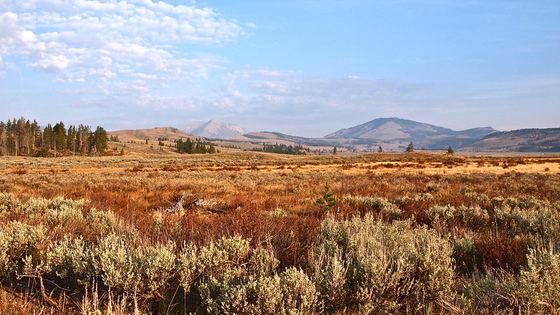 Yellowstone National Park 