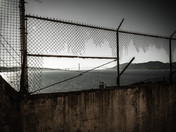 Alcatraz Island
